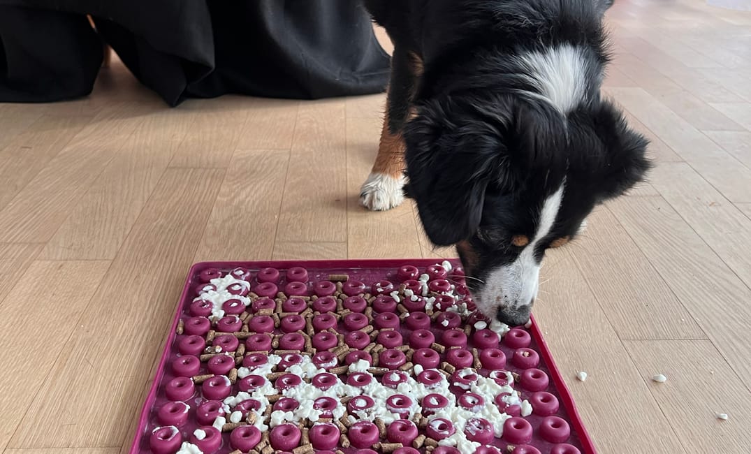 Kann man eine Backmatte nur zum Backen nutzen? Nein.