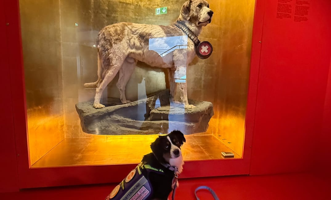 Unser Besuch im Naturhistorischen Museum Bern