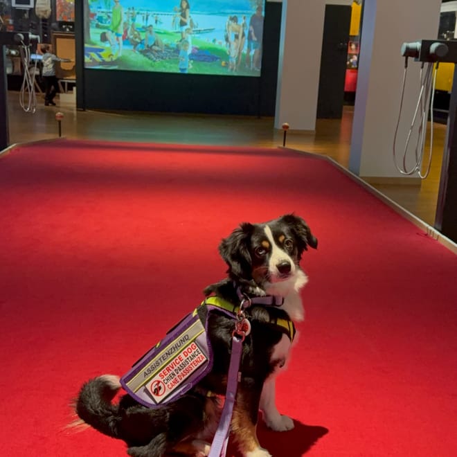 Bild von: Mit Assistenzhund ins Museum für Kommunikation in Bern